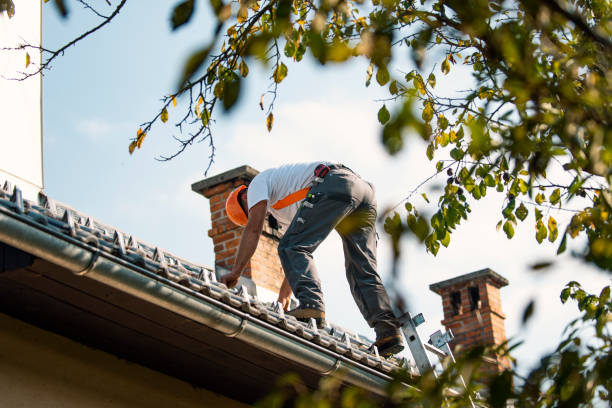 Best Storm Damage Roof Repair  in Washington Terrace, UT